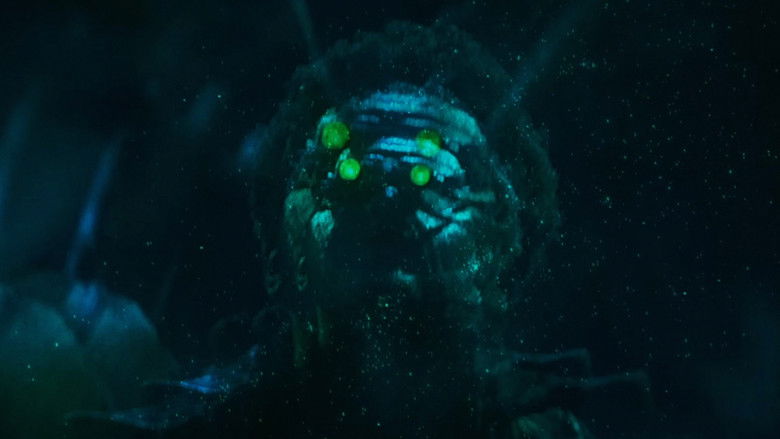 кадр из фильма Remember To Enjoy The Light Before It’s Gone