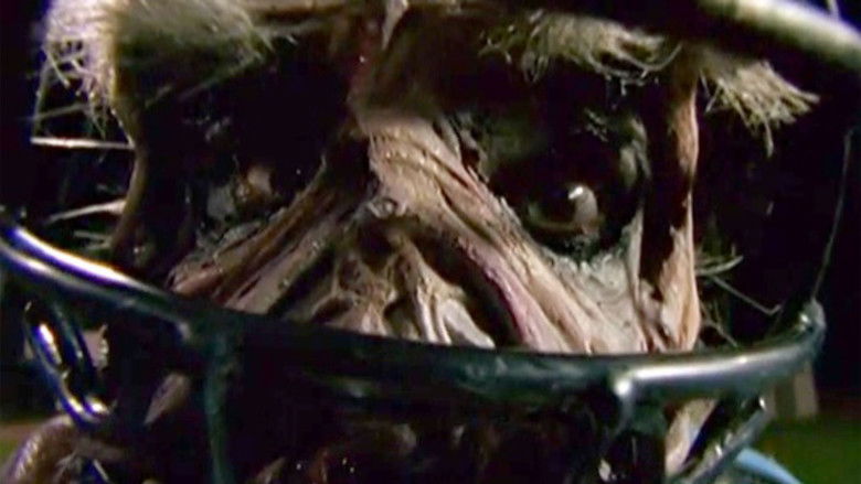 кадр из фильма Goosebumps: Chillogy