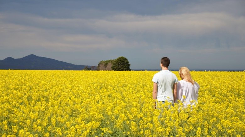 кадр из фильма Planes