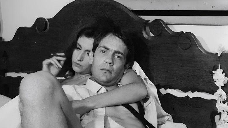 Todas as Mulheres do Mundo