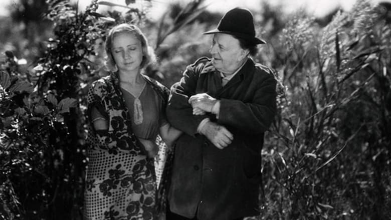 кадр из фильма Cuor di vagabondo