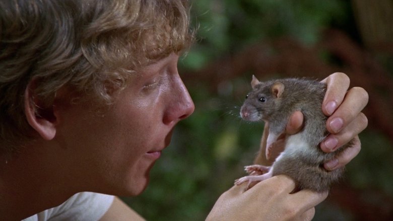 кадр из фильма Уиллард