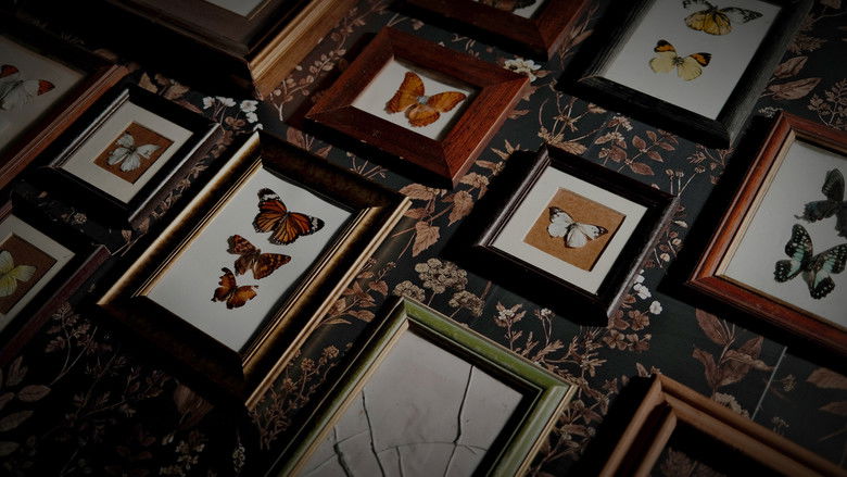 кадр из фильма Leggera