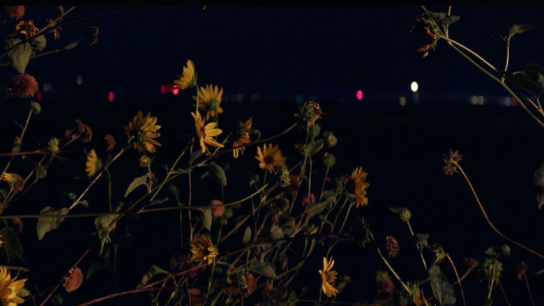 кадр из фильма Roadkill