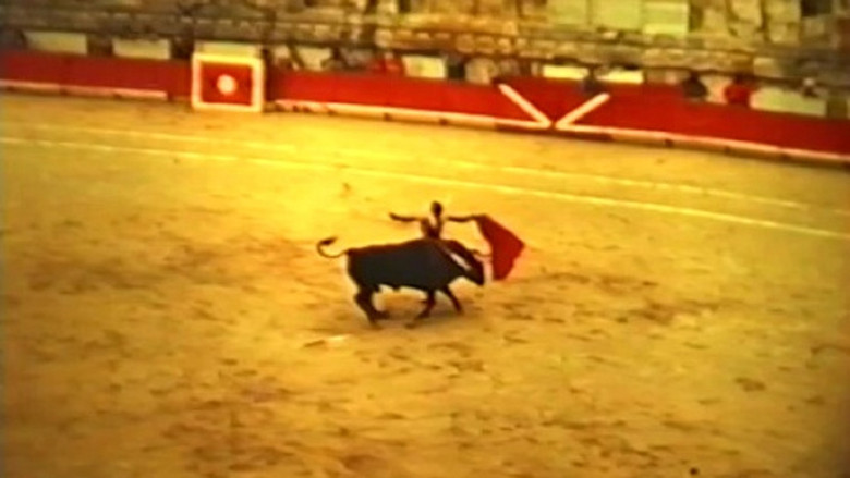 кадр из фильма Минималисты в пути