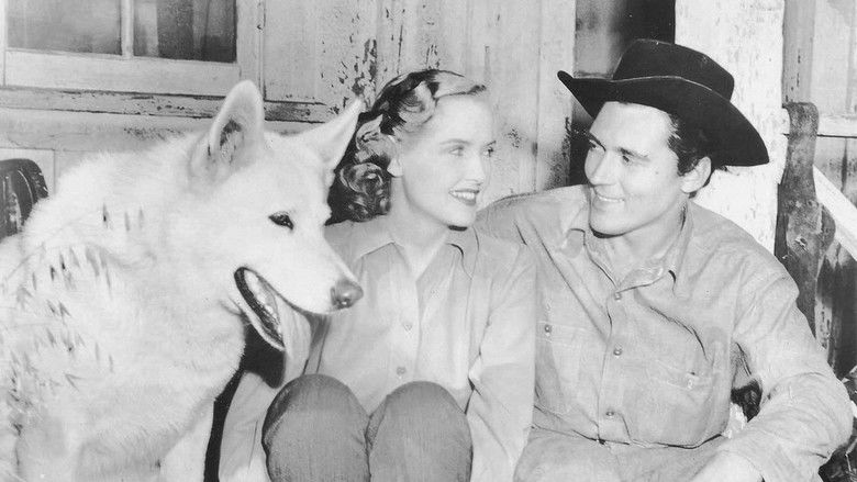 кадр из фильма Black Eagle