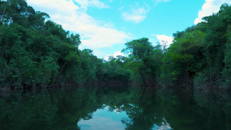 кадр из фильма Como Matar um Rio