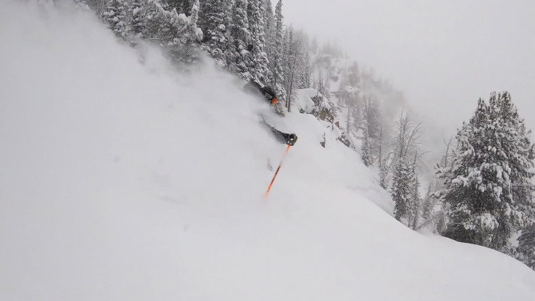 кадр из фильма Winterland