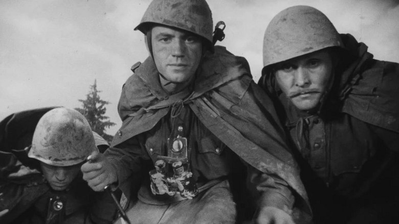 кадр из фильма Сын полка