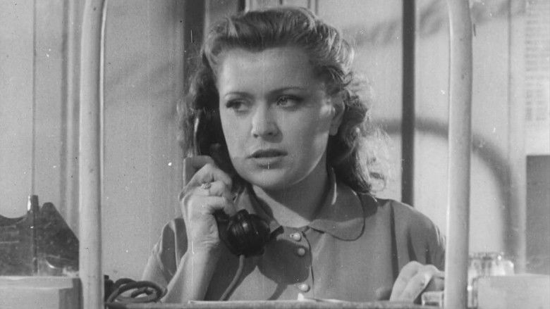 кадр из фильма Наши соседи