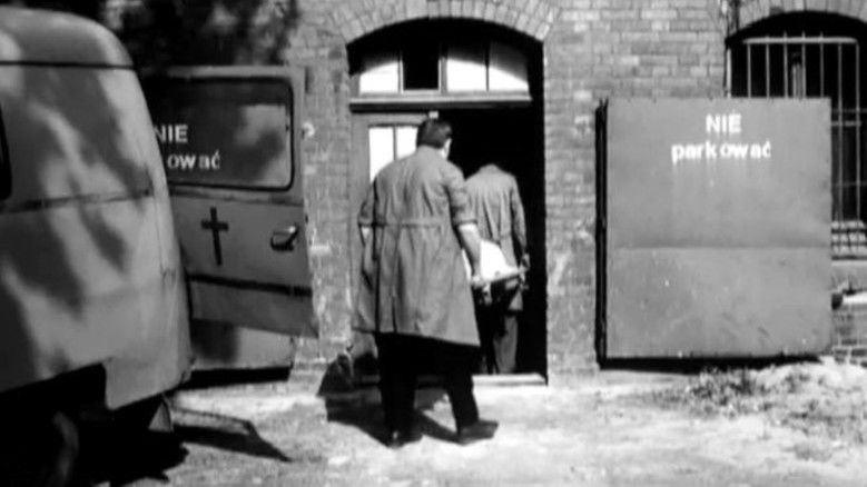 кадр из фильма Wojaczek