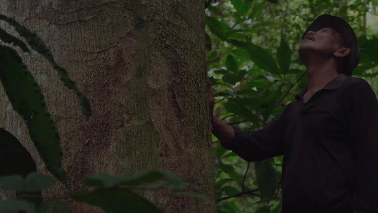 кадр из фильма Rolly: A Story of My Father