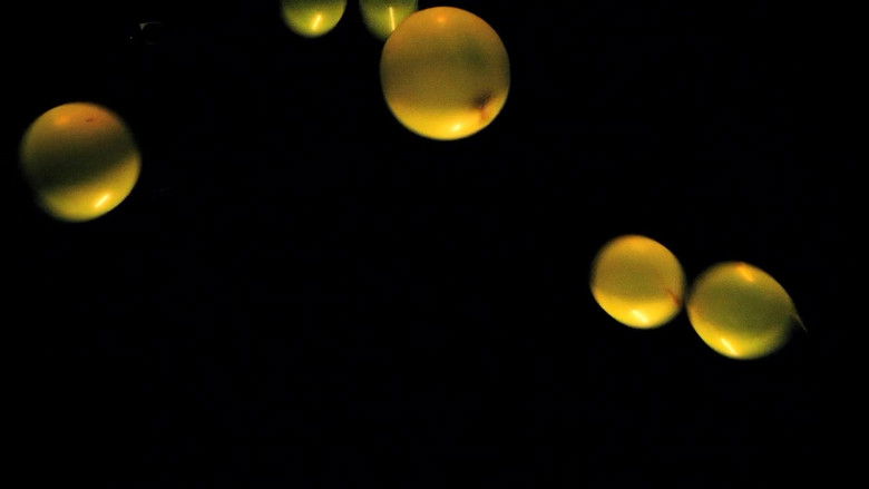 кадр из фильма All We Sheep Have Gone Astray