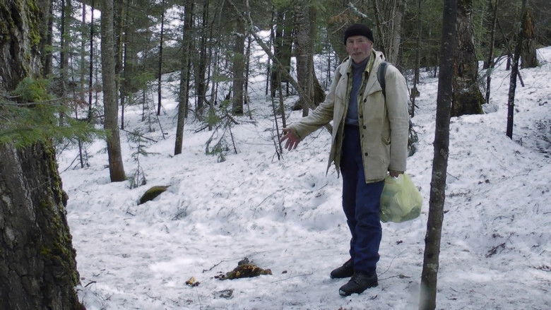 кадр из фильма Территория свободы