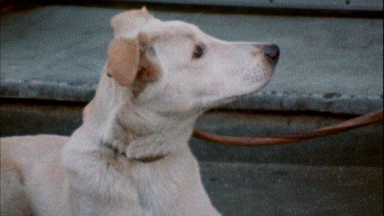 кадр из фильма Мусор