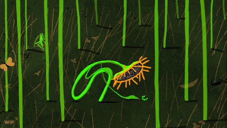 кадр из фильма Подсолнух