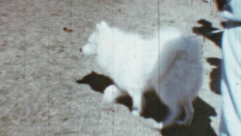 кадр из фильма Tiffany Dog Show