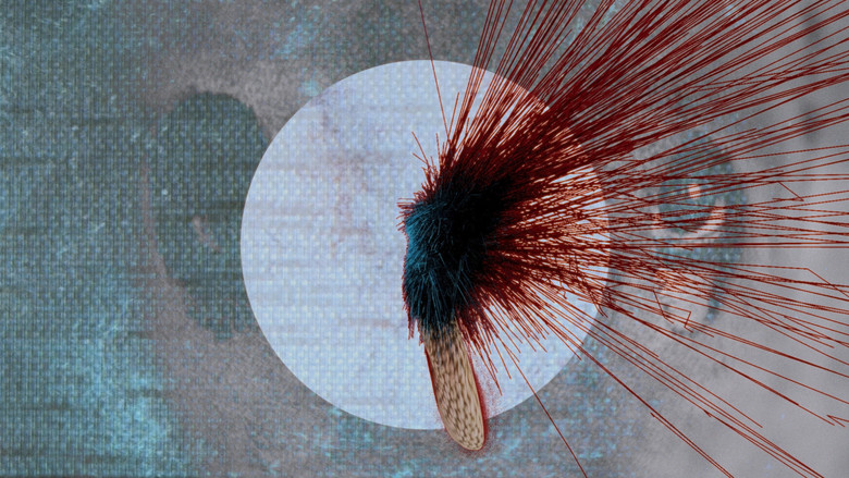 кадр из фильма Taikonaut