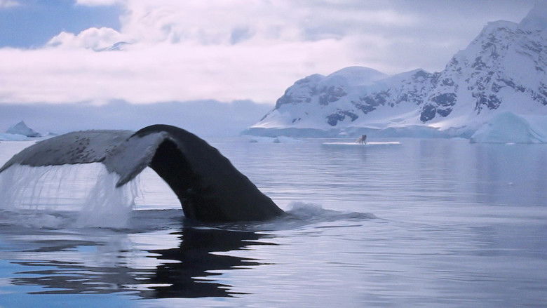 кадр из фильма Кина и Юк: Пушистые приключения