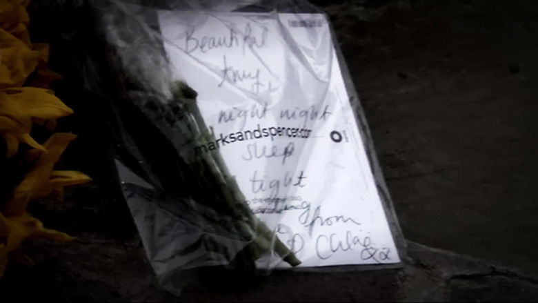 кадр из фильма Amy Winehouse: The Final Goodbye