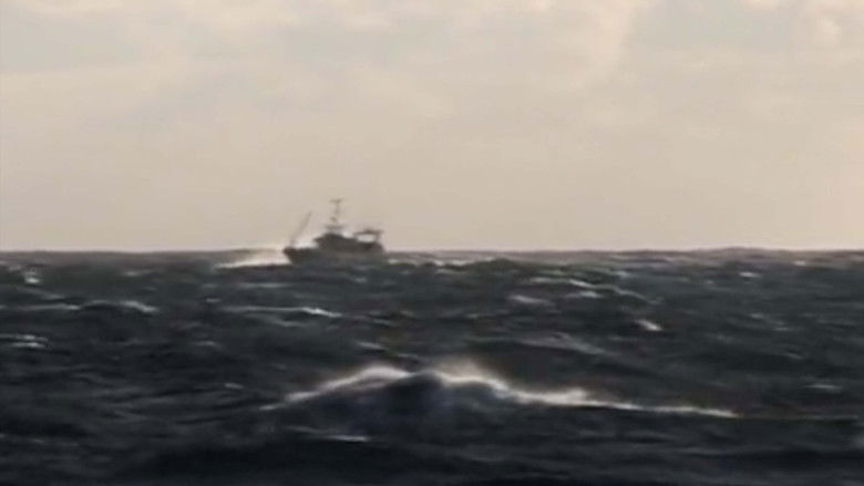 кадр из фильма À l'Ouest