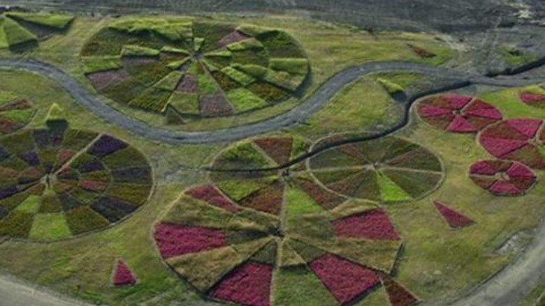 кадр из фильма A Margem da Paisagem