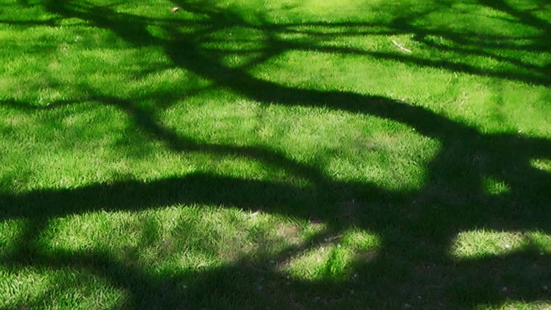 кадр из фильма Inspection 02