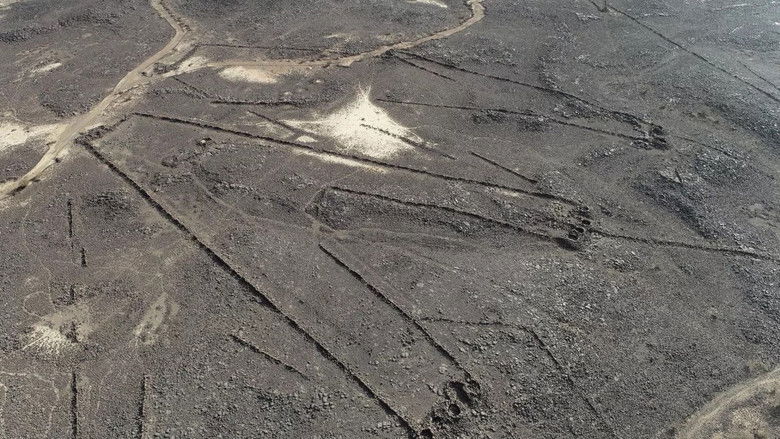 кадр из фильма Le mystère des cerfs-volants du désert