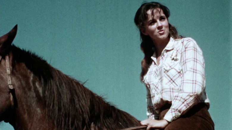 кадр из фильма The Female Bunch