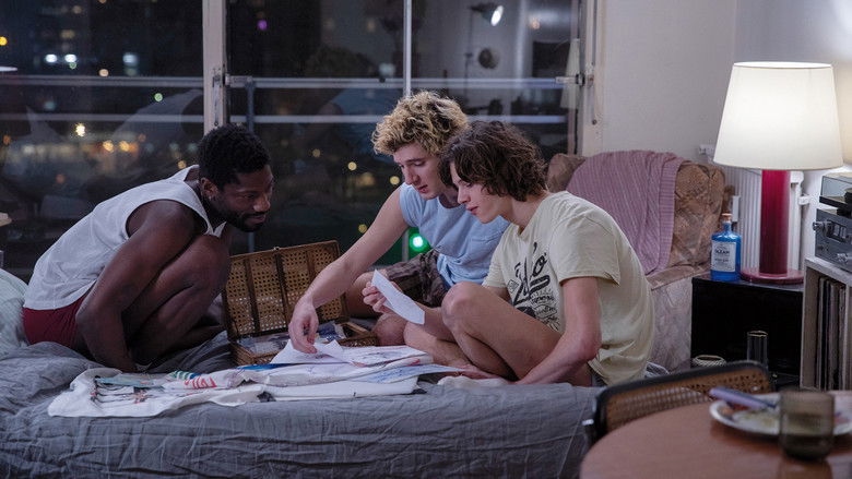 кадр из фильма Le lycéen