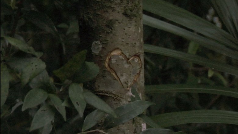 кадр из фильма Sofia Foi