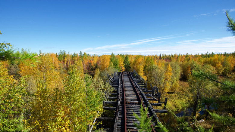 кадр из фильма Cesta do Gulagu