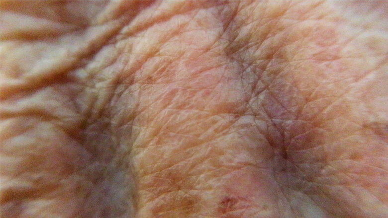 кадр из фильма Sonata Julieta