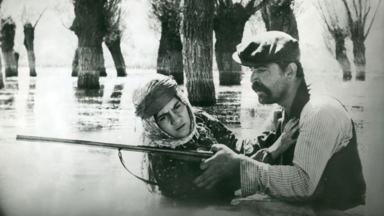 кадр из фильма Kuyu