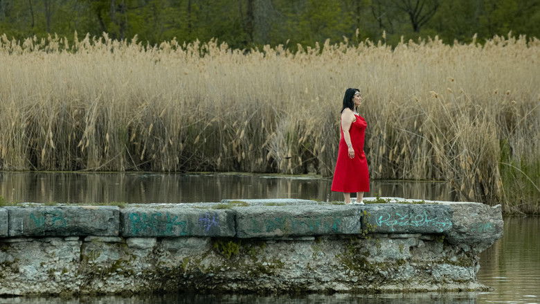 кадр из фильма Le grand solstice 2022