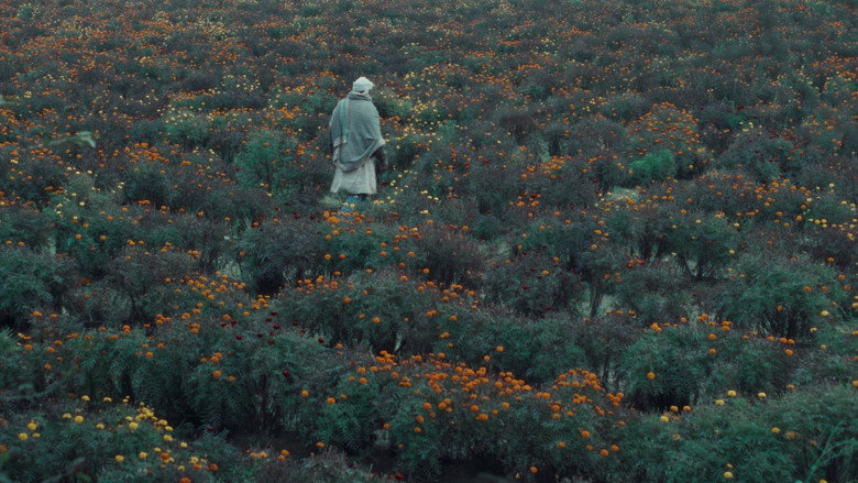 кадр из фильма खाल बछड़ा