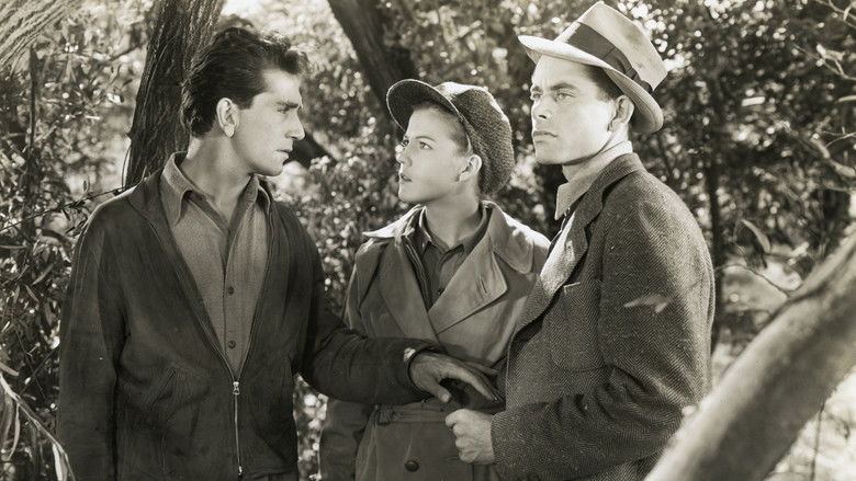 кадр из фильма Heaven with a Barbed Wire Fence