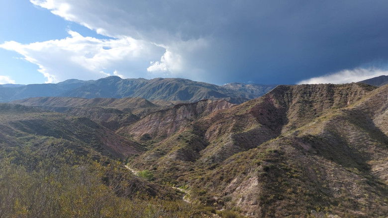 кадр из фильма Undocumented