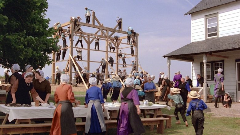 кадр из фильма Свидетель