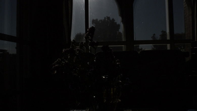 кадр из фильма CRISÁLIDA