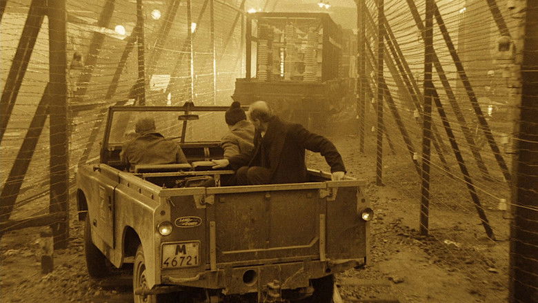 кадр из фильма Сталкер