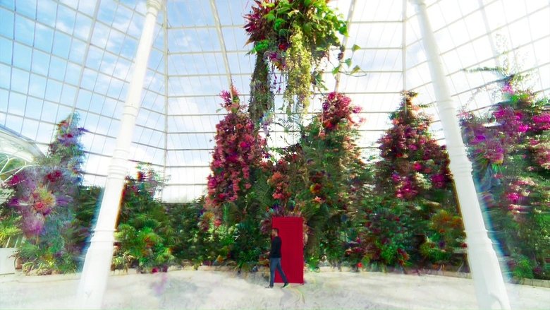 кадр из фильма В облаке