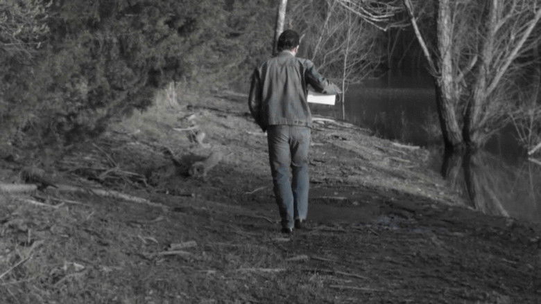 кадр из фильма How to Get from Here to There