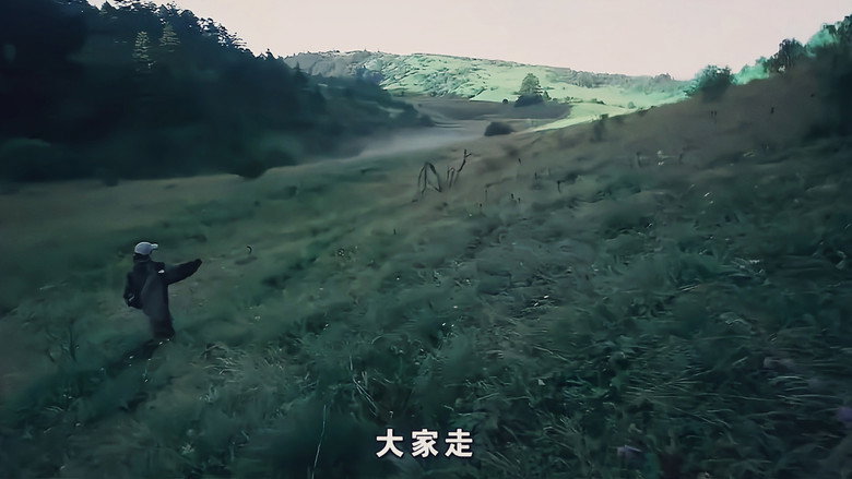 кадр из фильма 北纬31°录像带