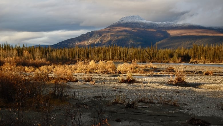 Arctic Daughter: A Lifetime of Wilderness