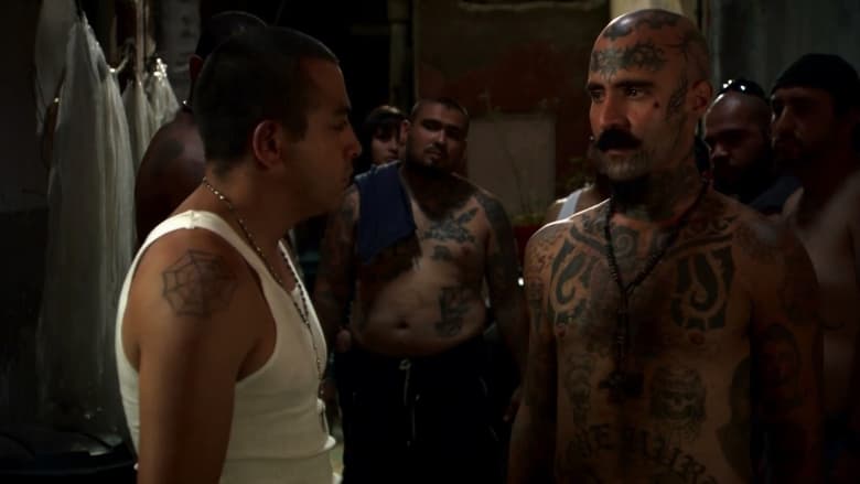 кадр из фильма Destino Mara