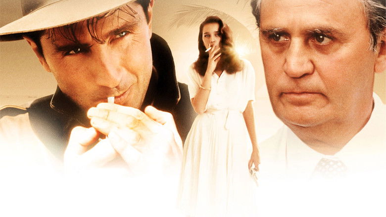 кадр из фильма Dernier été à Tanger