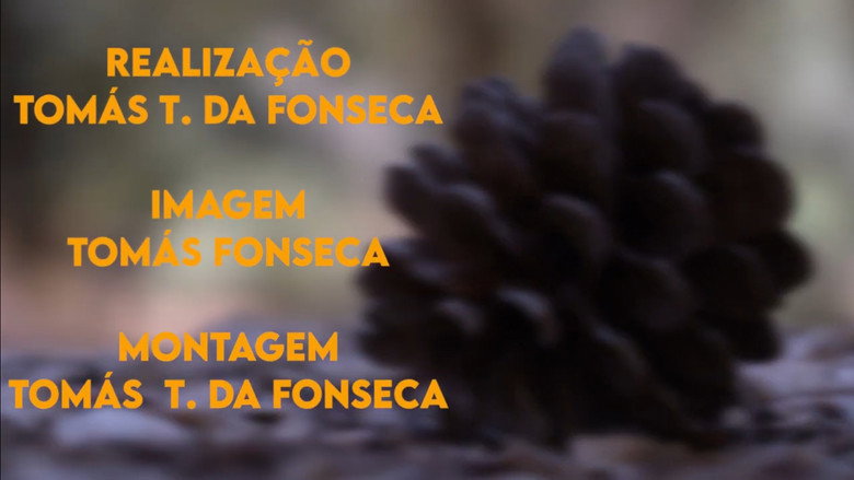 кадр из фильма LOST