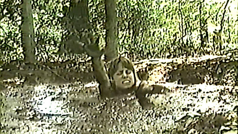 кадр из фильма Damsel in Distress 3