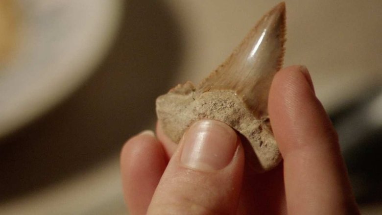 кадр из фильма Синяя бездна 2